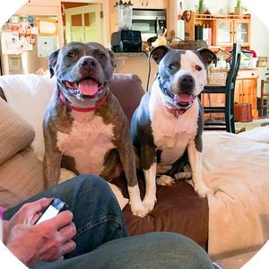 Meet your Posher, Lorre